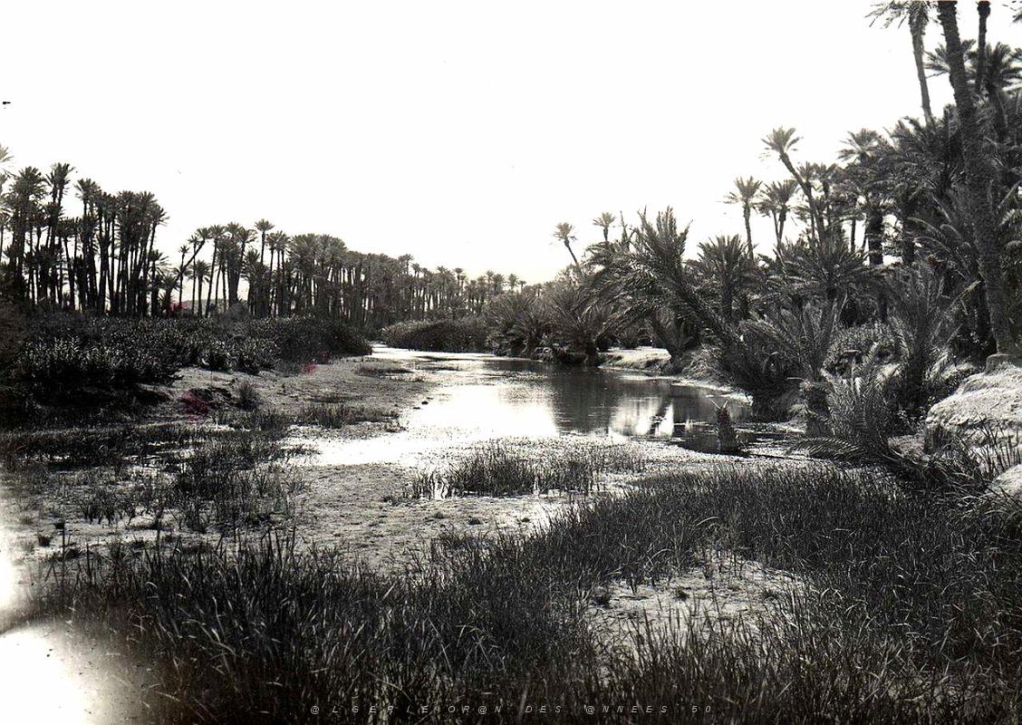 Sud oranais 007-Monneret.jpg
